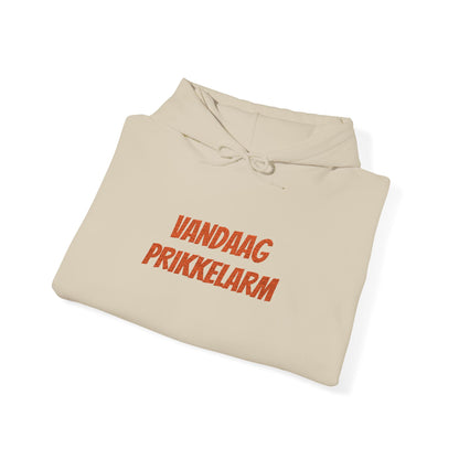 'Vandaag prikkelarm' - Prikkels Hoodie