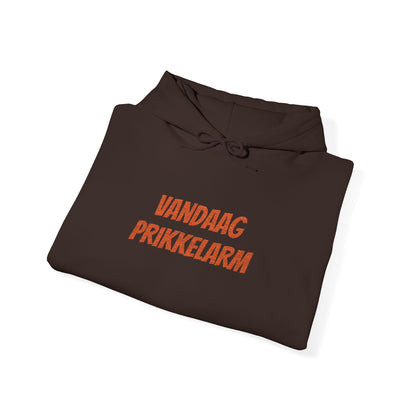'Vandaag prikkelarm' - Prikkels Hoodie