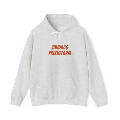 'Vandaag prikkelarm' - Prikkels Hoodie