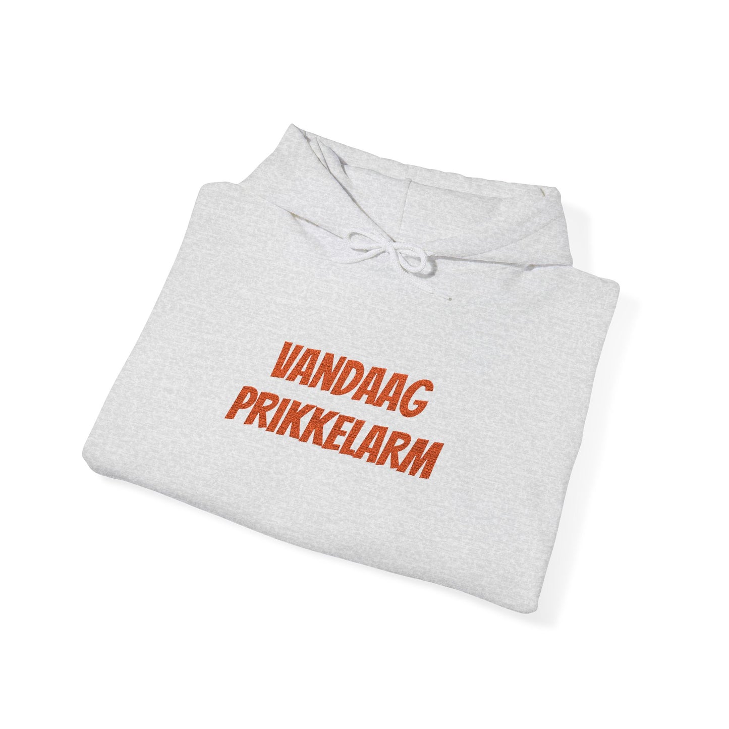 'Vandaag prikkelarm' - Prikkels Hoodie