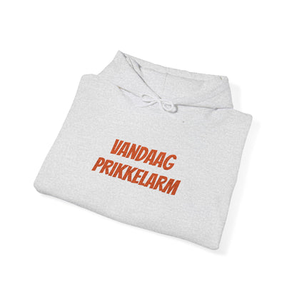 'Vandaag prikkelarm' - Prikkels Hoodie