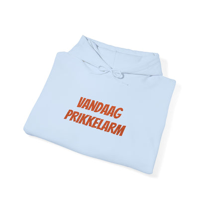 'Vandaag prikkelarm' - Prikkels Hoodie