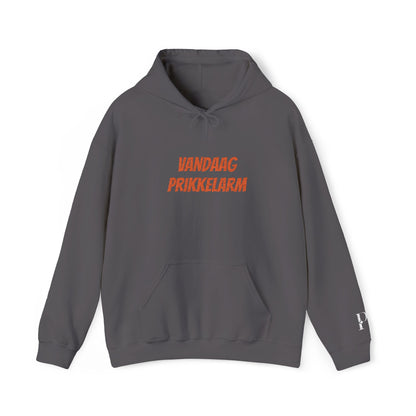 'Vandaag prikkelarm' - Prikkels Hoodie