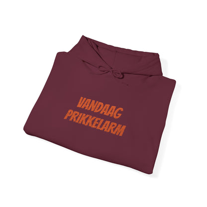 'Vandaag prikkelarm' - Prikkels Hoodie
