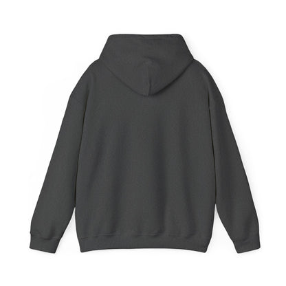'Overprikkeld voorkant' — Prikkels Hoodie
