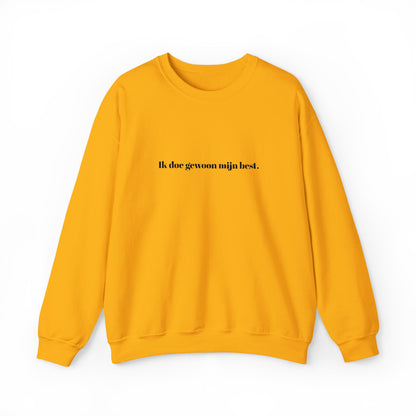 'Ik doe gewoon mijn best' - Prikkels trui