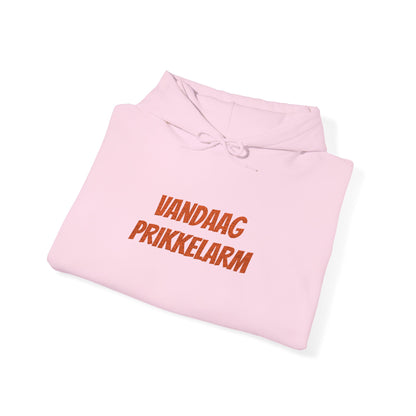 'Vandaag prikkelarm' - Prikkels Hoodie
